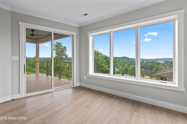 unfurnished room with light hardwood / wood-style floors