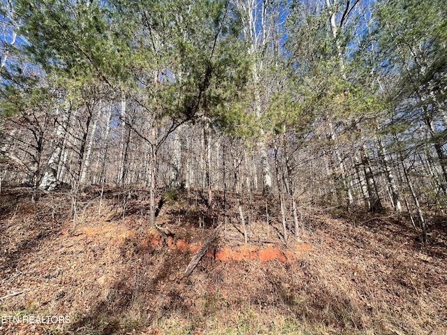 LOT9 Jones Ridge Rd, Speedwell TN, 37870 land for sale