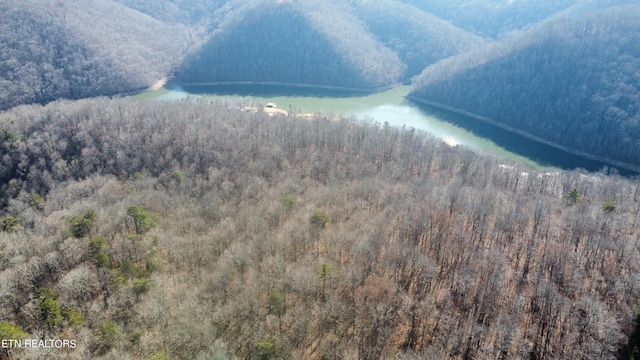 LOT3 Jones Ridge Rd, Speedwell TN, 37870 land for sale