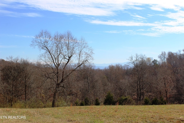 Listing photo 3 for Wayne Bryant Rd, Louisville TN 37777