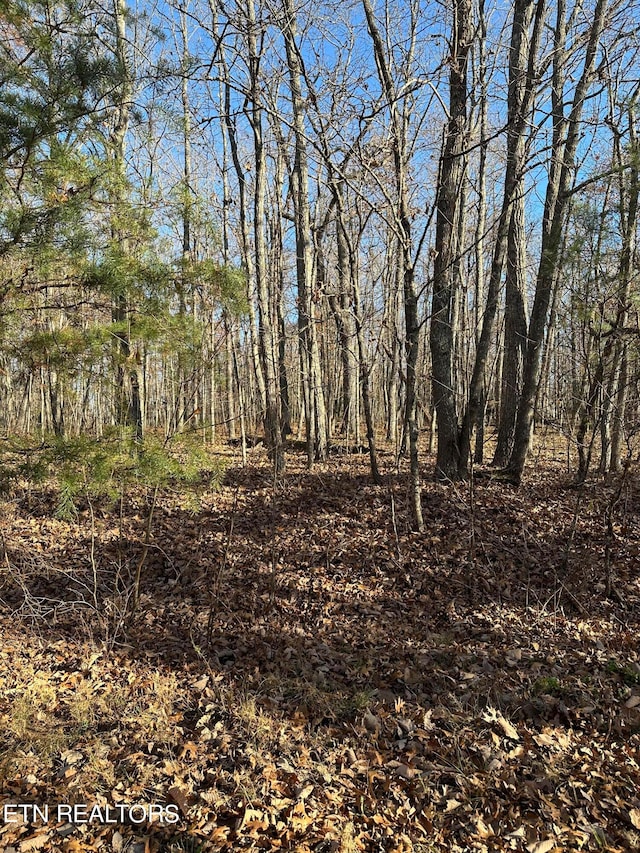 247 Albemarle Cir, Crossville TN, 38558 land for sale