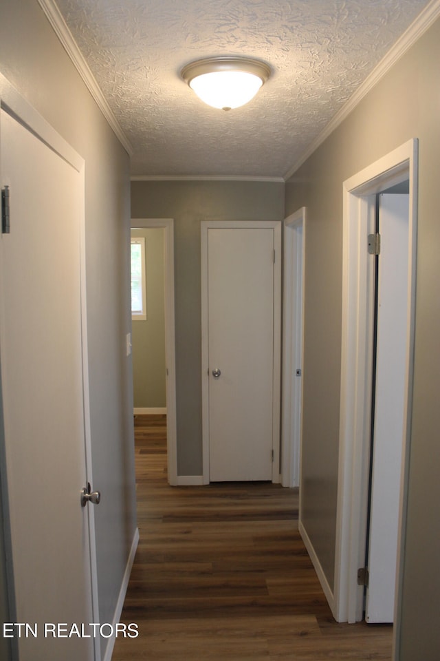 corridor featuring crown molding, a textured ceiling, and dark wood-type flooring