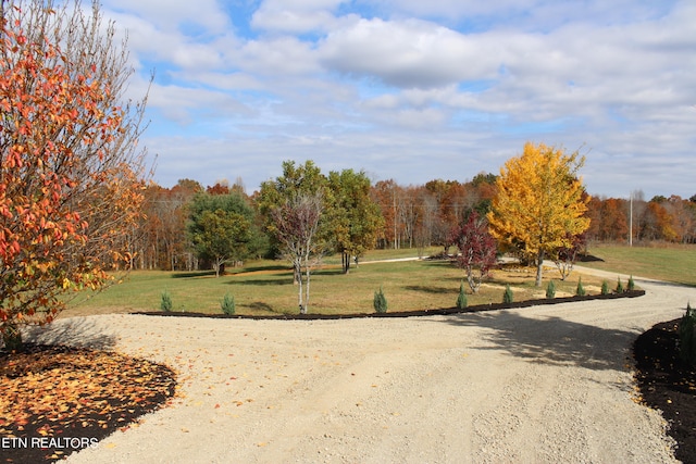 surrounding community featuring a yard