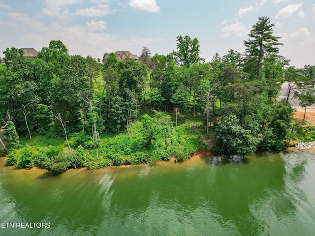 1668 Taffrail Dr, Lenoir City, TN 37772 - photo 9