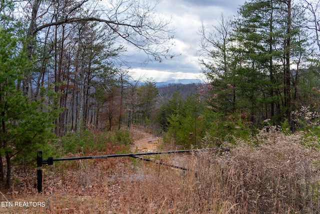 0 Leconte Dr, Sevierville TN, 37876 land for sale