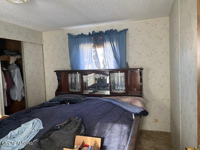 carpeted bedroom with a closet and a textured ceiling