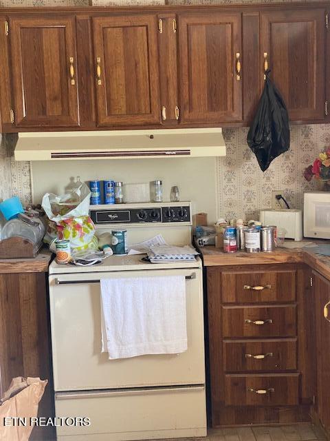 kitchen featuring white appliances and ventilation hood