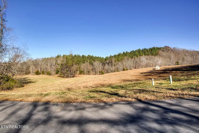 Listing photo 3 for Mill Dr, Decatur TN 37322