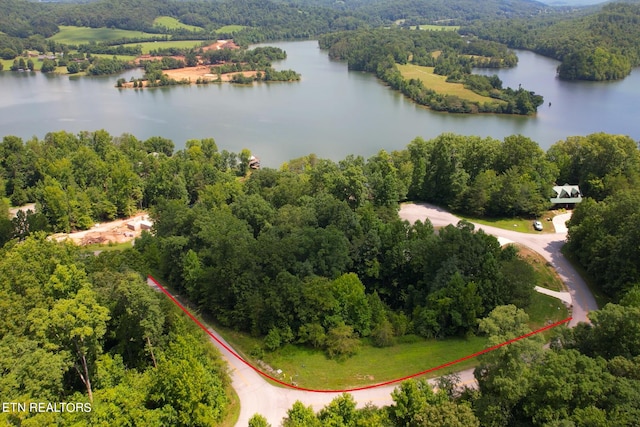 Crystal Springs Rd, Rockwood TN, 37854 land for sale