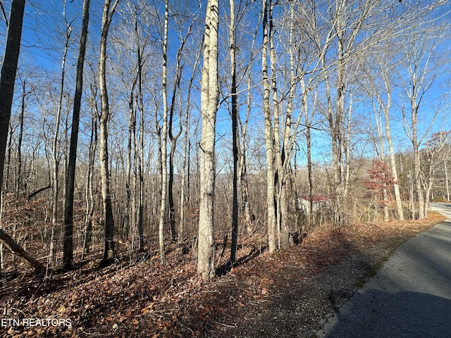 LOT39 Kays Dr, Lafollette TN, 37766 land for sale