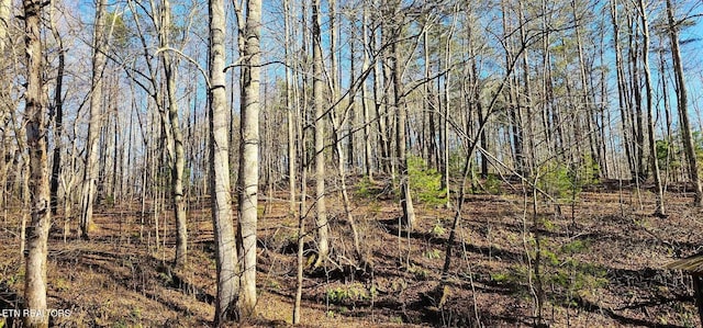 Listing photo 3 for 5ACRES Lower Smithfield Rd, Tellico Plains TN 37385