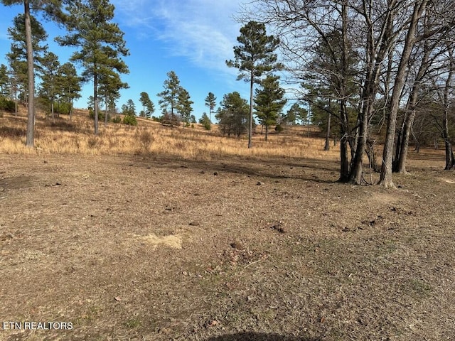 000 Bowen Ln, Dayton TN, 37321 land for sale