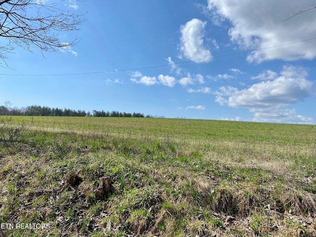 view of local wilderness with a rural view