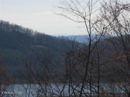 LOT67 Bayside Blvd, Bean Station TN, 37708 land for sale