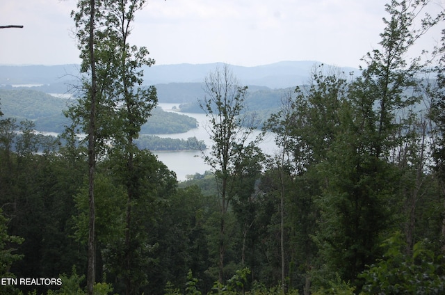 Listing photo 2 for LOT32 Bayside Blvd, Bean Station TN 37708