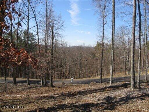 LOT32 Bayside Blvd, Bean Station TN, 37708 land for sale