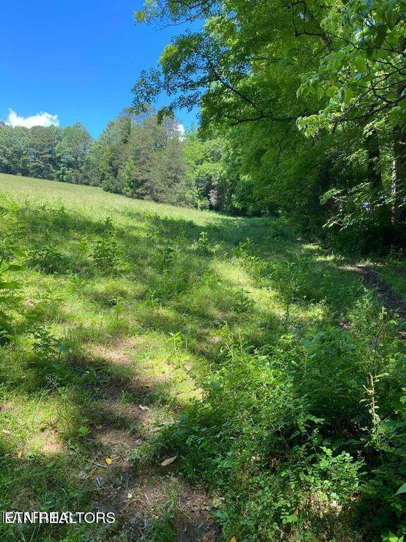 Listing photo 3 for LOT3 Chapman Rd, Lafollette TN 37766