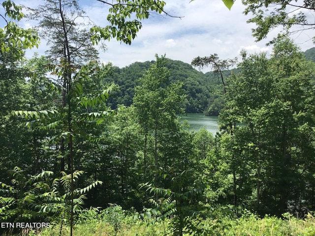 LOT880 Fellowship Ln, New Tazewell TN, 37825 land for sale