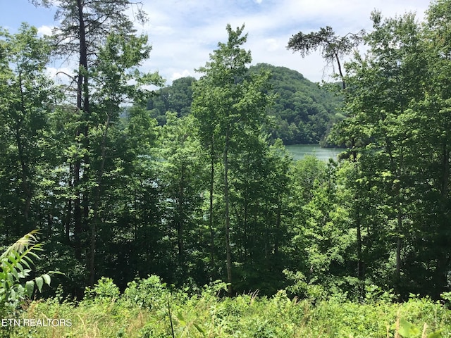 Listing photo 3 for LOT880 Fellowship Ln, New Tazewell TN 37825