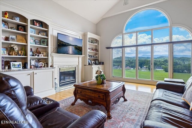 living room featuring plenty of natural light, lofted ceiling, a mountain view, and light hardwood / wood-style flooring