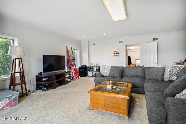 living room featuring ornamental molding and carpet