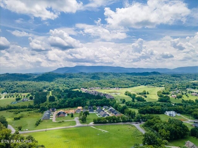 birds eye view of property featuring a mountain view