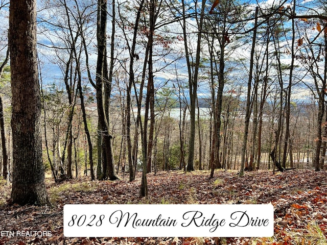 Listing photo 2 for 8028 Mountain Ridge Dr, Mooresburg TN 37811