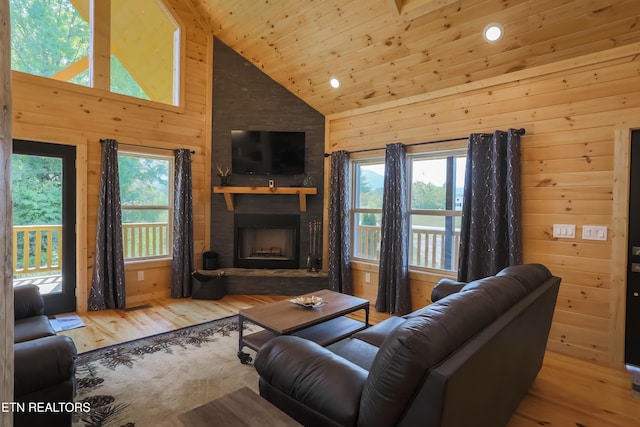 living area featuring a fireplace, wood walls, and a wealth of natural light