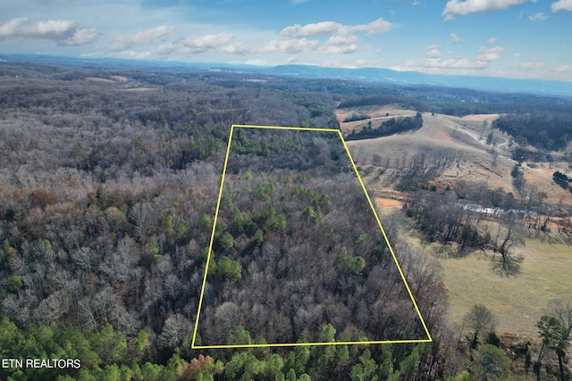 0 Bearden Ln, Birchwood TN, 37308 land for sale