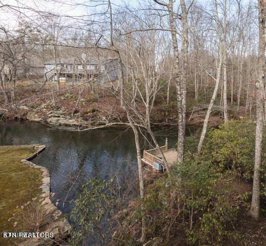 157 Ivy Brook Ln, Crossville TN, 38558 land for sale