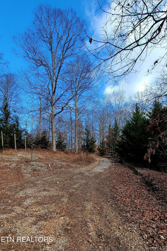 view of road