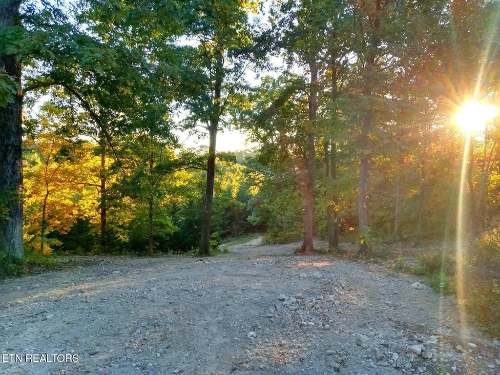 7171 Vonore Rd, Loudon, TN 37774 - photo 3