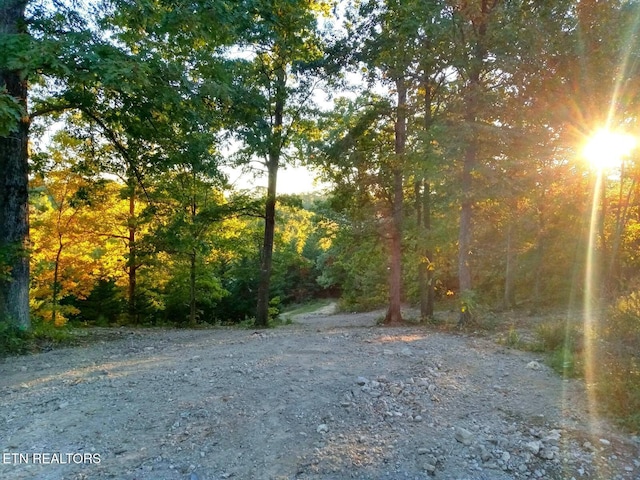7171 Vonore Rd, Loudon, TN 37774 - photo 3