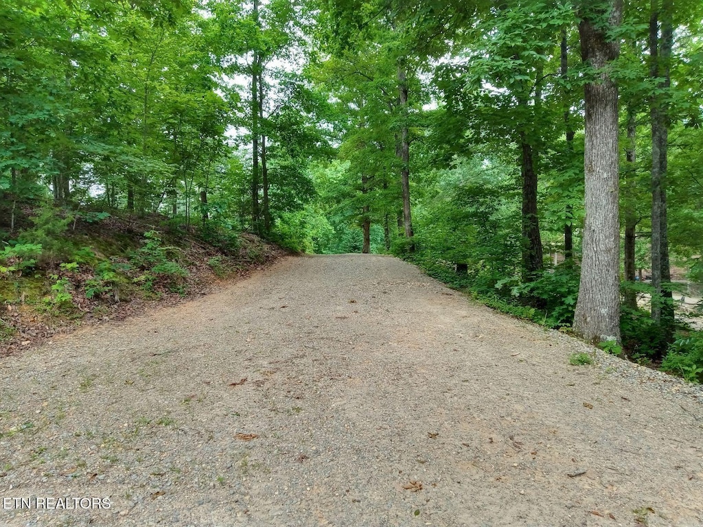 7171 Vonore Rd, Loudon, TN 37774 - photo 4