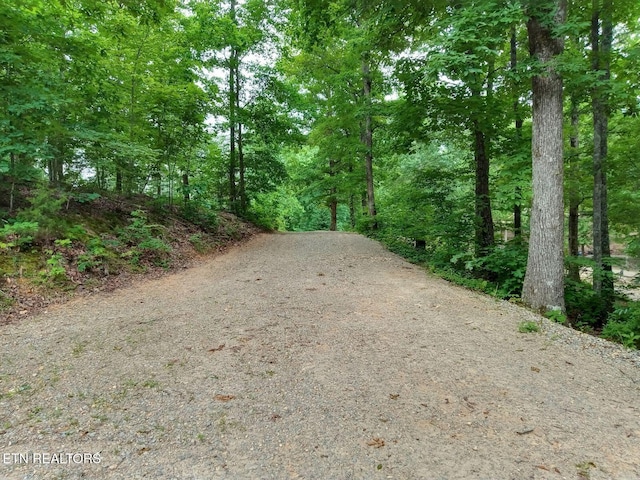 7171 Vonore Rd, Loudon, TN 37774 - photo 4