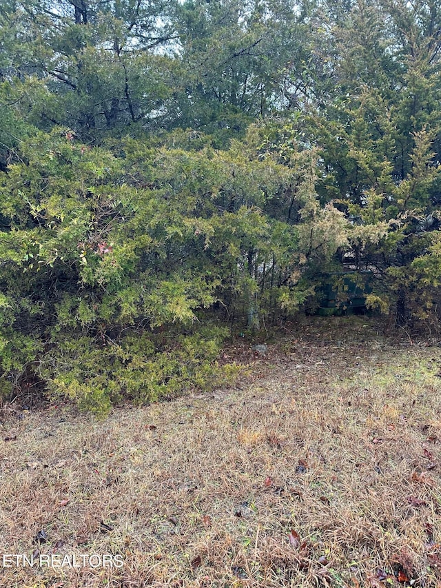 Listing photo 3 for LOT156 Wedge Way, Tazewell TN 37879