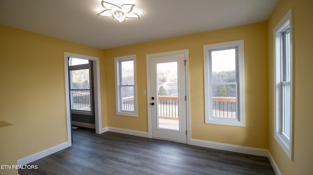 doorway to outside featuring dark hardwood / wood-style floors