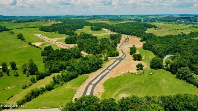 LOT66843 Sophie Dr, Greenback, TN 37742 - photo 4