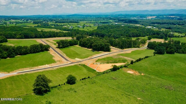 LOT66843 Sophie Dr, Greenback, TN 37742 - photo 7