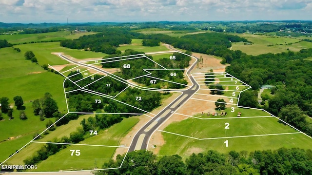 LOT66843 Sophie Dr, Greenback, TN 37742 - photo 2