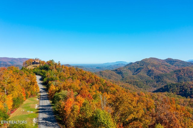 view of mountain view