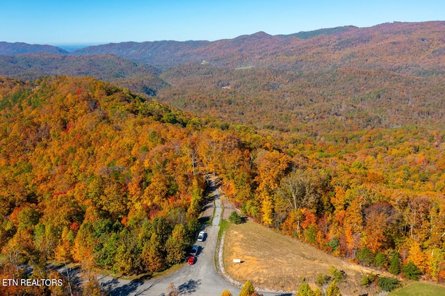 drone / aerial view featuring a mountain view