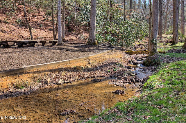 view of yard featuring a water view