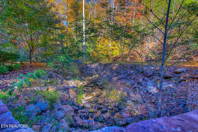 view of nature