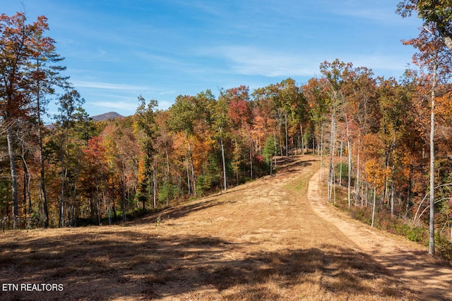 1968 E Millers Cove Rd, Walland, TN 37886 - photo 22