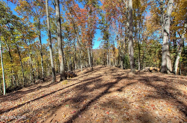 1968 E Millers Cove Rd, Walland, TN 37886 - photo 23
