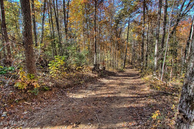 1968 E Millers Cove Rd, Walland, TN 37886 - photo 25