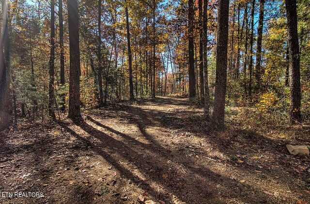 1968 E Millers Cove Rd, Walland, TN 37886 - photo 26