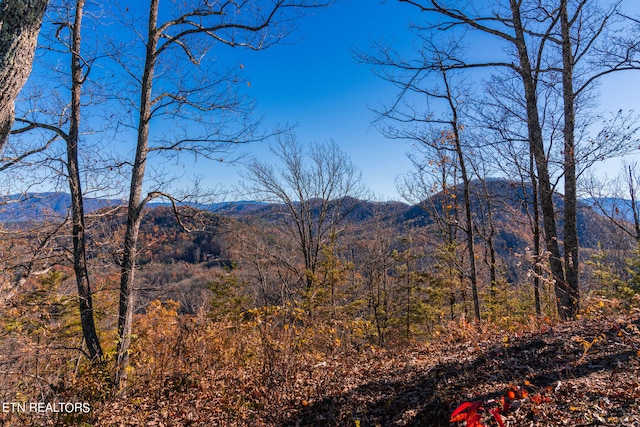 1968 E Millers Cove Rd, Walland, TN 37886 - photo 27