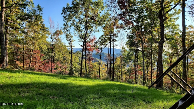 1968 E Millers Cove Rd, Walland, TN 37886 - photo 18